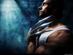 Wolverine